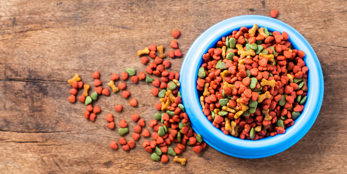 dog-food-pic