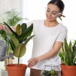 woman watering indoor plants in pots