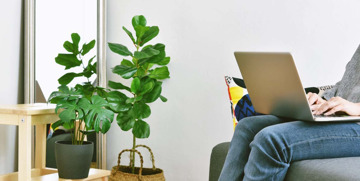 person sitting on sofa in front of indoor plants with laptop on his lap